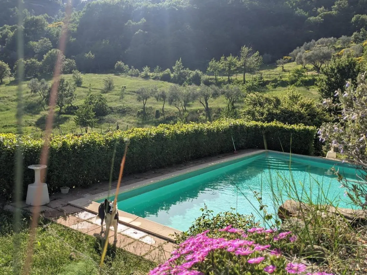 Agriturismo Casentino - Fattoria Ventrina Martina Alloggio per agriturismo