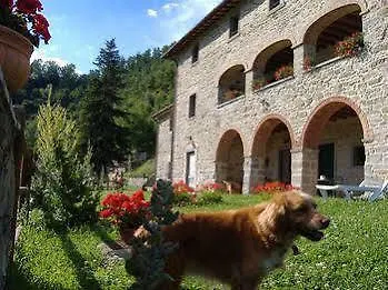 Agriturismo Casentino - Fattoria Ventrina Martina 0*,